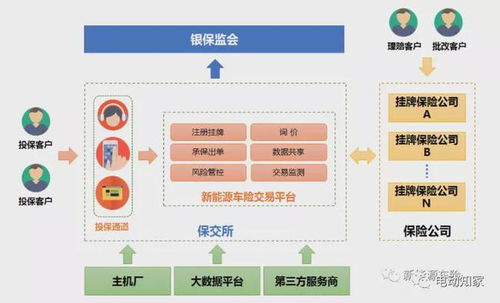 新能源車(chē)險(xiǎn)專(zhuān)屬交易平臺(tái)正式上線 保費(fèi)暴漲 圖片